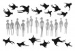flight 7: flock (parallel lines / contrary motion) flight 7: flock (parallel lines / contrary motion)