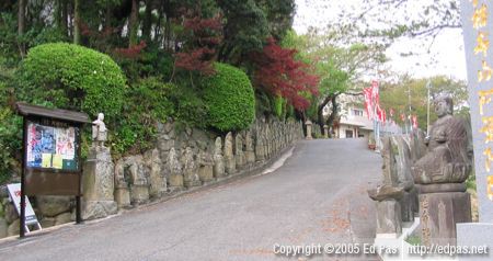 view up the driveway to Amida-in