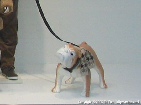 Comme Ça dog mannequin, on leash, wearing patterend shirt.