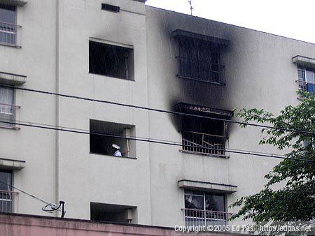 a burnt-out window, the morning after