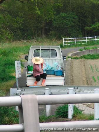 a woman in the back of a truck, putting on her backpack of fertilizer