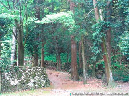 forest and paths on the right side of the shrine buildings