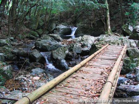 simple wooden bridge in a clearing above the final stage of Nanae Falls